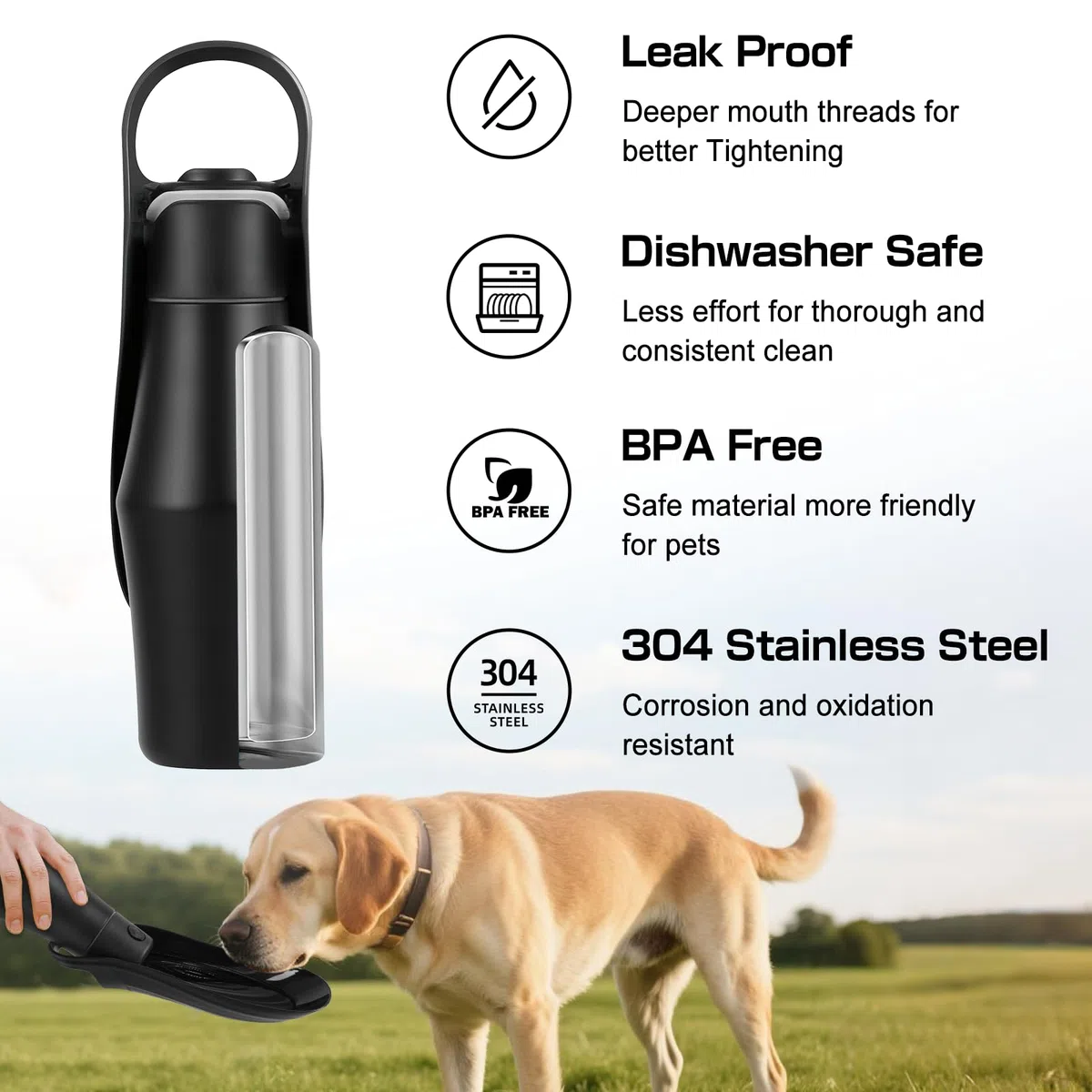 Borraccia Cane Portatile, 750ml Bottiglia per Cani da Viaggio, Borraccia Per Cani Isolato in Acciaio Inox, Bottiglia Cane per Camminare, Viaggiare, Campeggiare