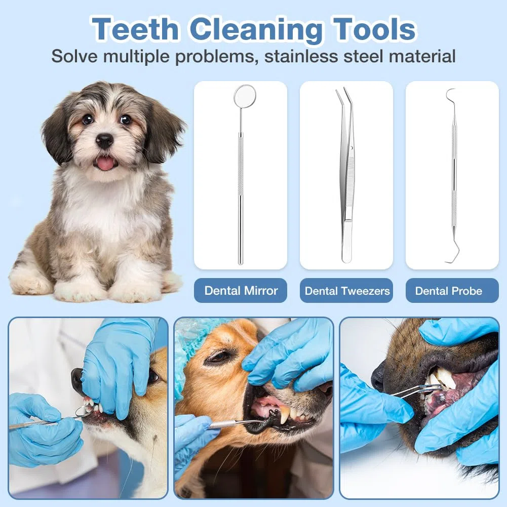 Aomig Kit di Pulizia dei Denti per Animali Domestic, Kit Pulizia Denti Cane per Tartaro e Macchie, Spazzolino Ultrasuoni Cane con Luce LED, 5 Modalità di Pulizia, Kit Rimuovere Macchie di Denti