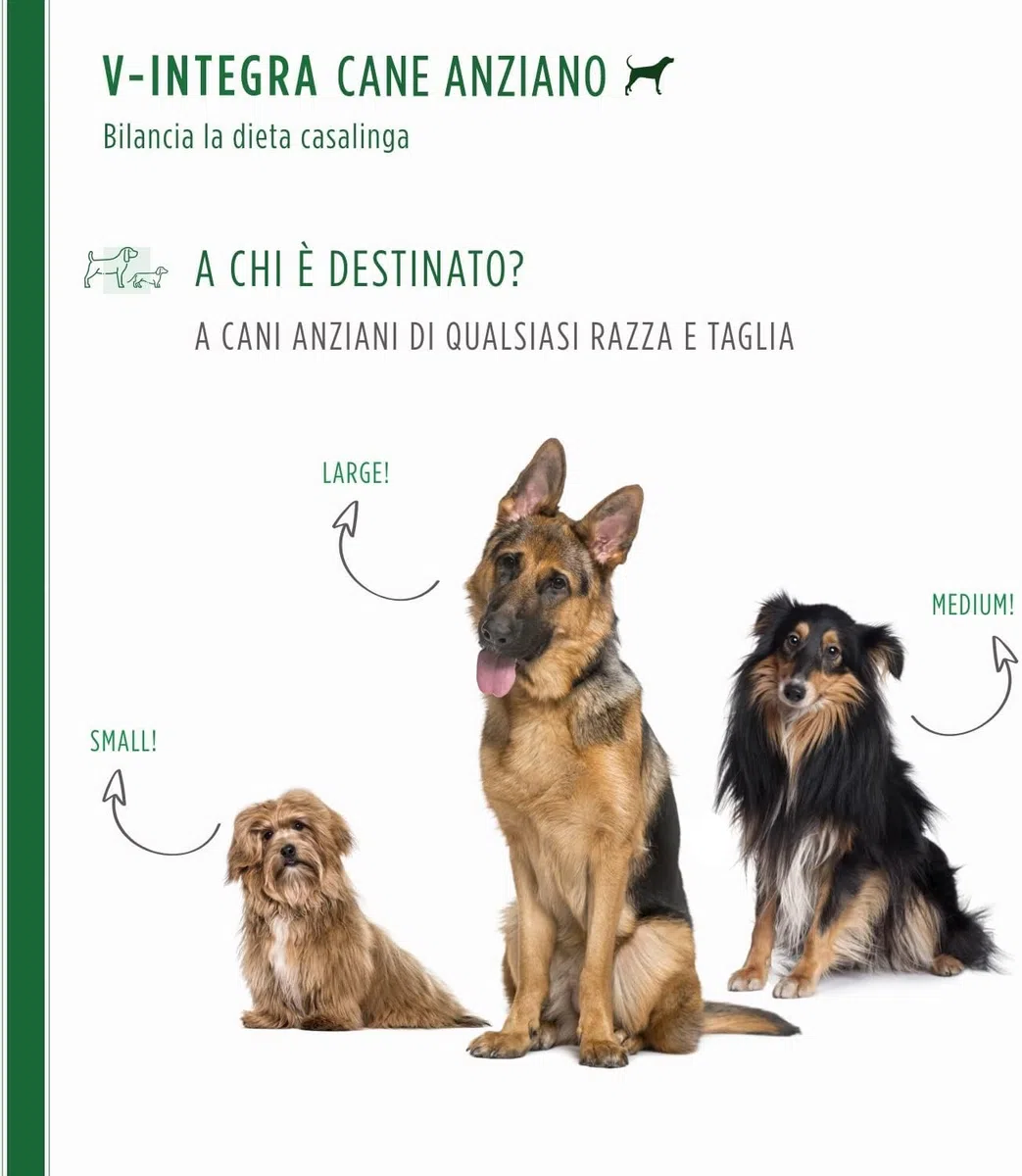 V-INTEGRA Cane Anziano 200g, Integratore Completo Ricco di Vitamine e Minerali per Dieta Casalinga e BARF, V Integra Multivitaminico Cane, Made in Italy