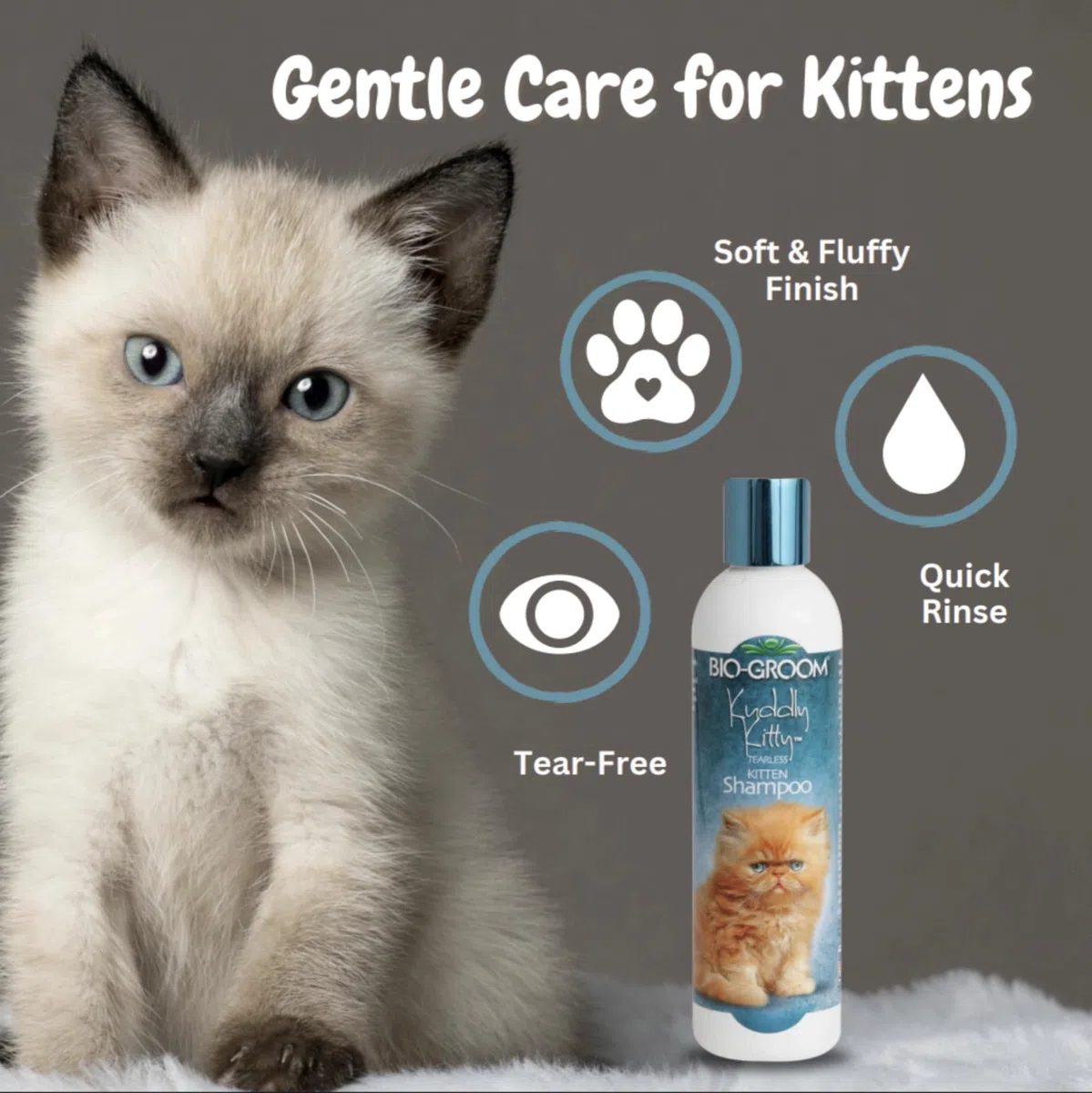 Bio-Groom CBB26008 Kuddly Kitty Shampoo For Cats And Kittens 240ml