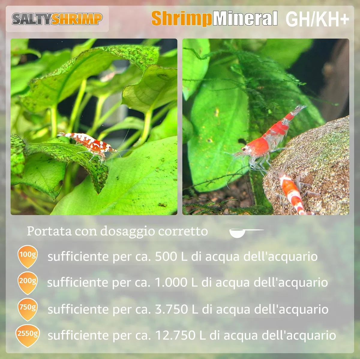 Shrimp mineral GH/KH+