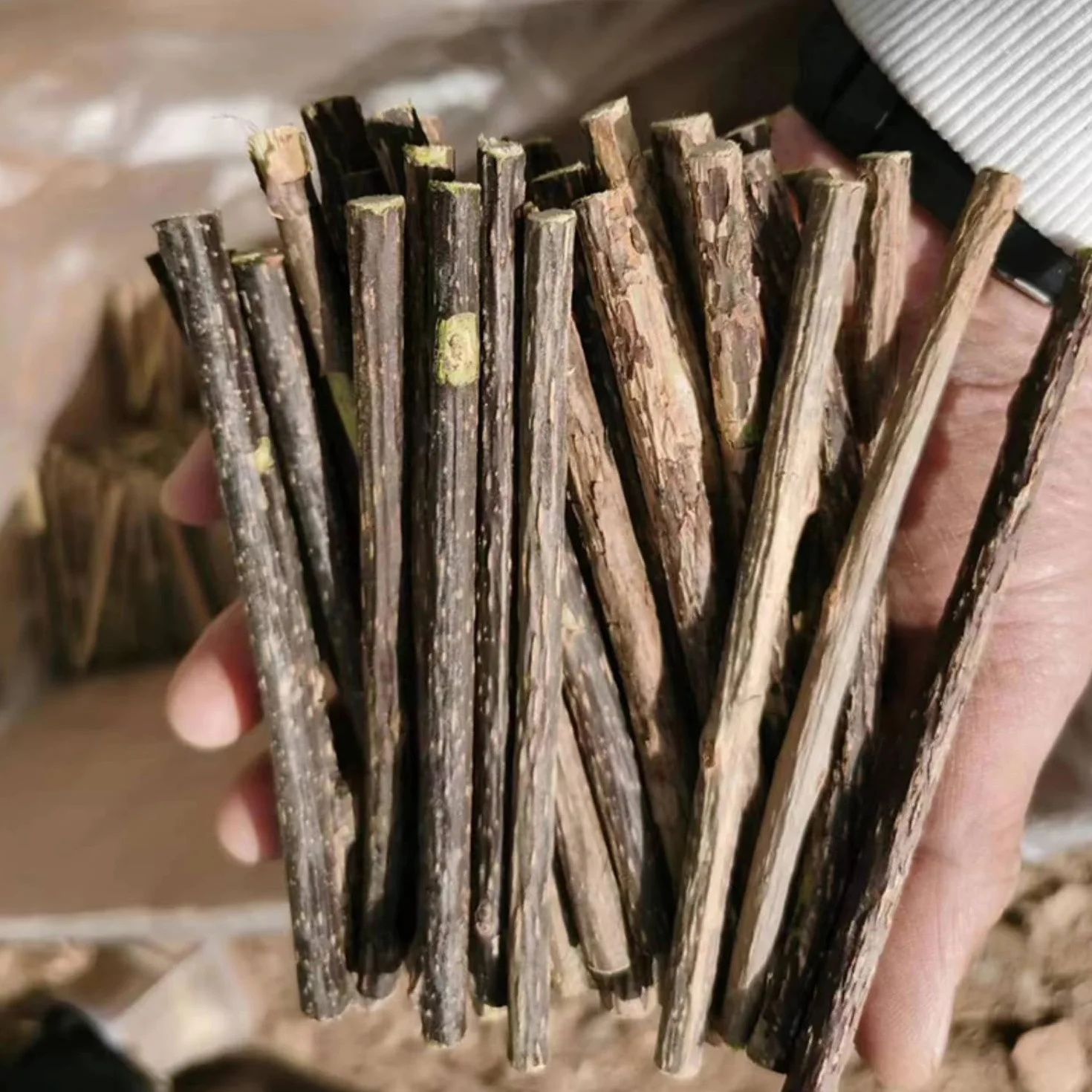 Set di 32 bastoncini per legno da masticare, per gatti, per la cura dei denti e contro l'alito cattivo, naturali e sicuri, bastoncini da masticare