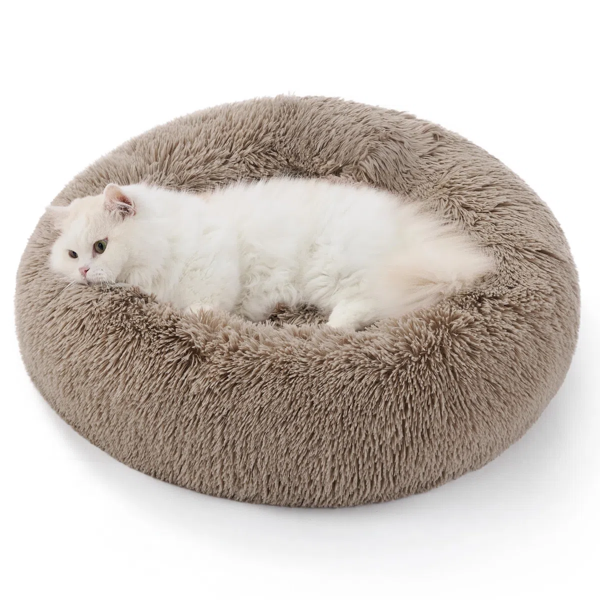 Bedsure Cuccia per gatti lavabile - Ø 50 cm, morbida cuccia per cani, posto letto per gatti e cani piccoli e medi, cuscino rotondo in peluche, letto accogliente, cammello