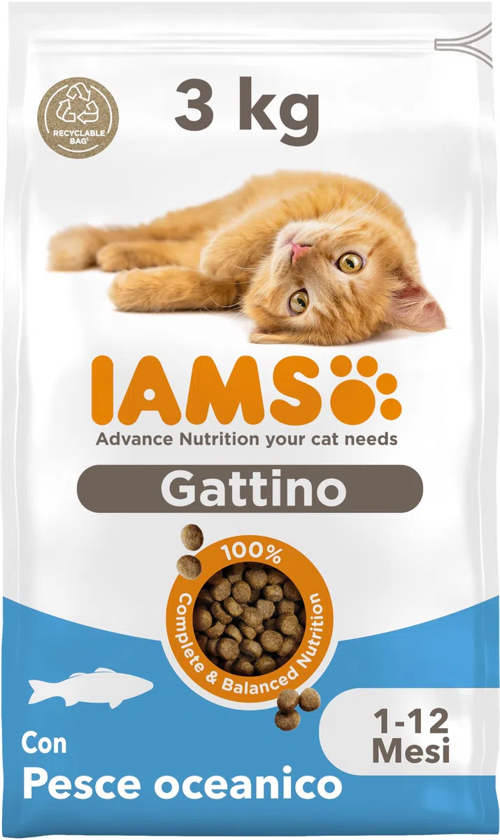 IAMS Cibo secco per gattini con pesce oceanico da 1-12 mesi, 3 kg