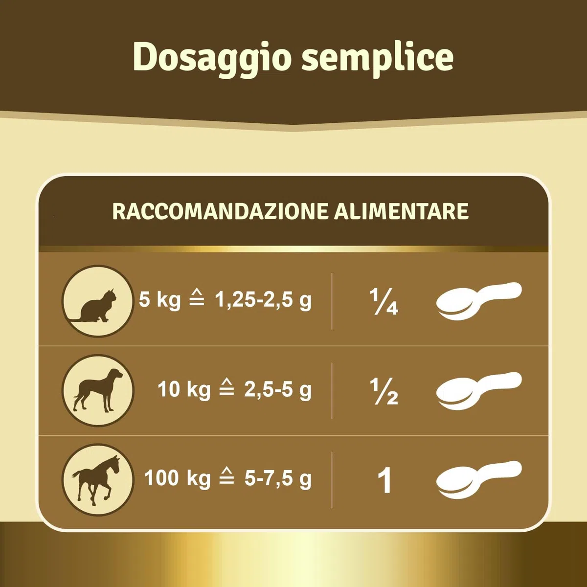 Veddelholzer, polvere naturale – 500g di Estratto di conchiglia verde per cani integratore articolazioni – con elevata accettazione