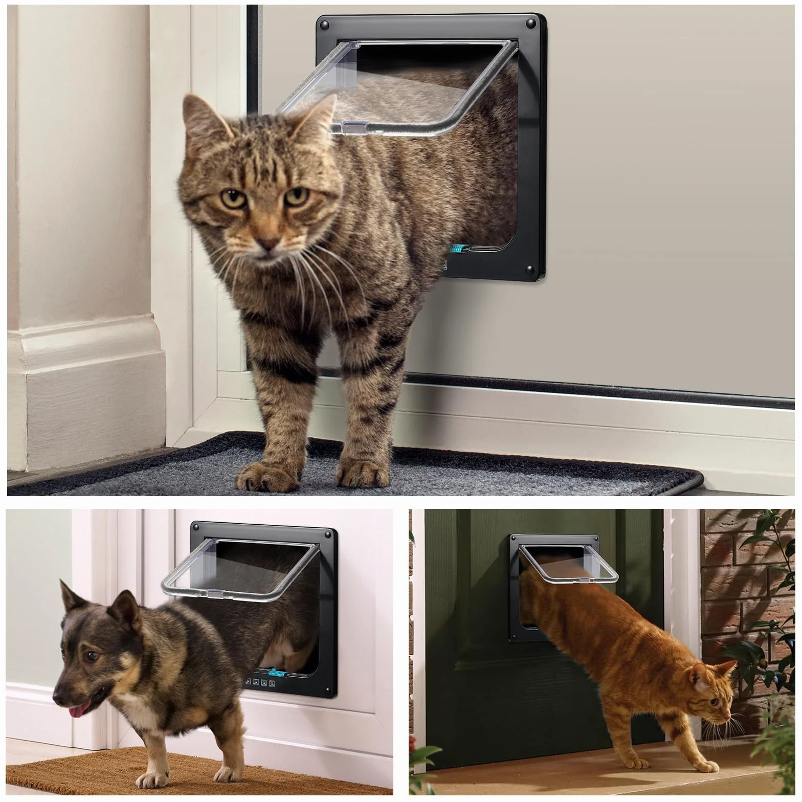 Roxanex Gatto Porta Porta scorrevole di sicurezza per animali domestici con serratura a 4 vie, gattaiola resistente alle intemperie per porta interna esterna, finestra a muro (Nero, L)