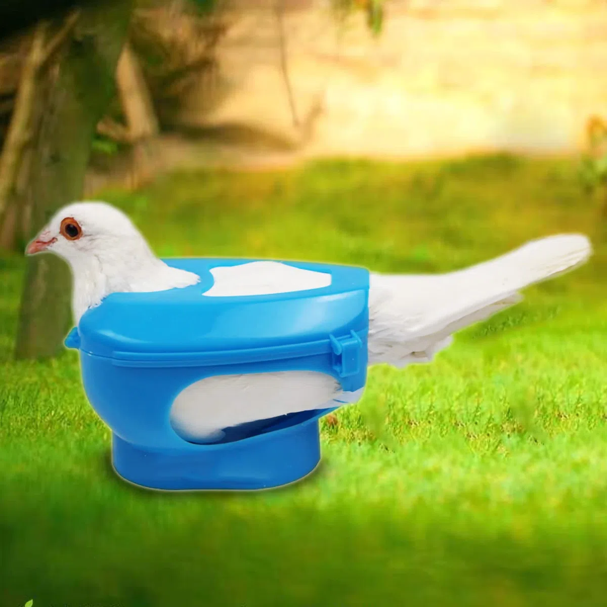 Porta di Piccioni di Plastica per Alimentazione a Iniezione con Supporto fisso: Fornitura di Uccelli Facile da Usare in Blu-non Tossico, Riutilizzabile e Robusto (BLUE)