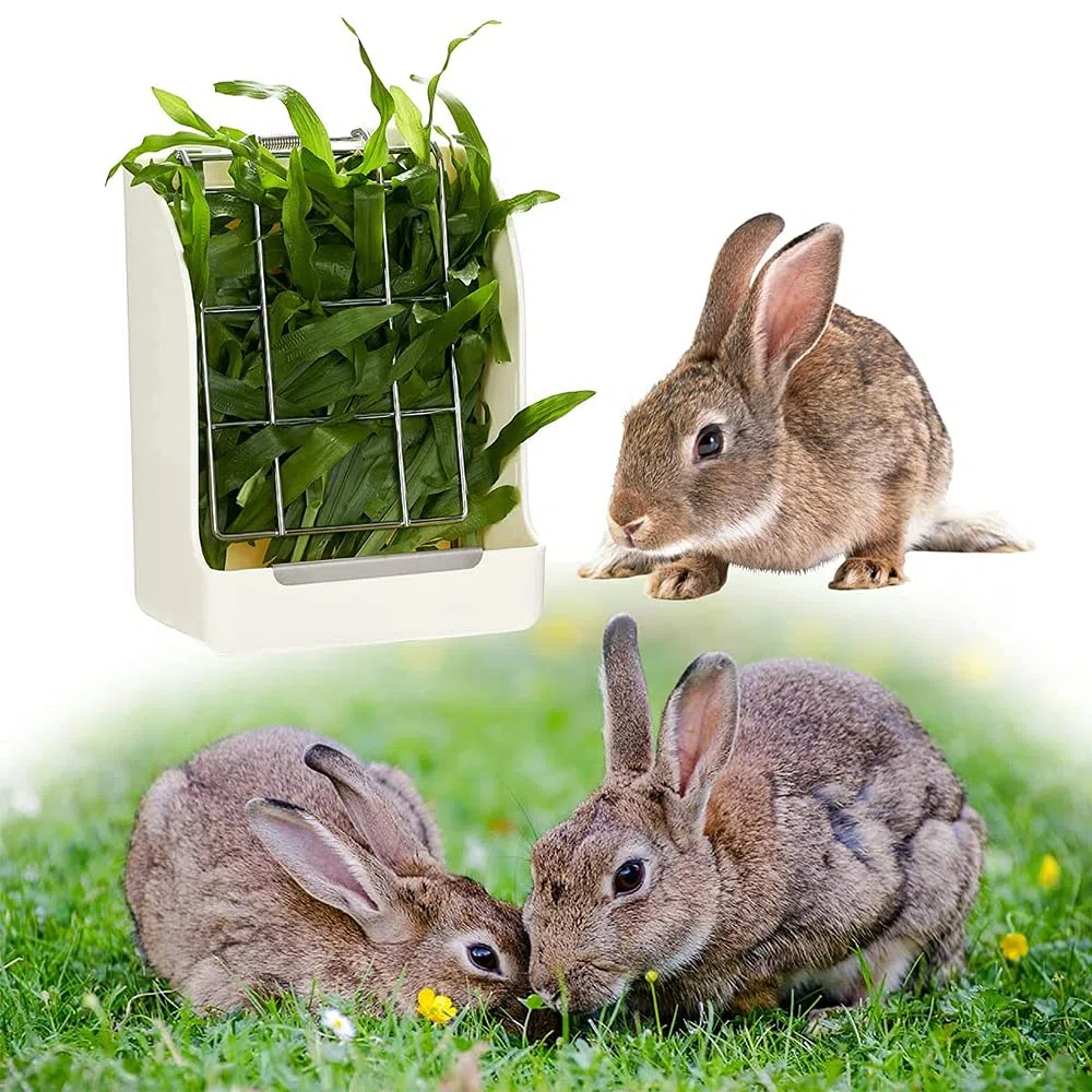 Alimentatore per Conigli e Piccoli Animali - Mangiatoia Fieno per Conigli e Porcellini D'India - Telaio per L'alimentazione di Erba e Fieno