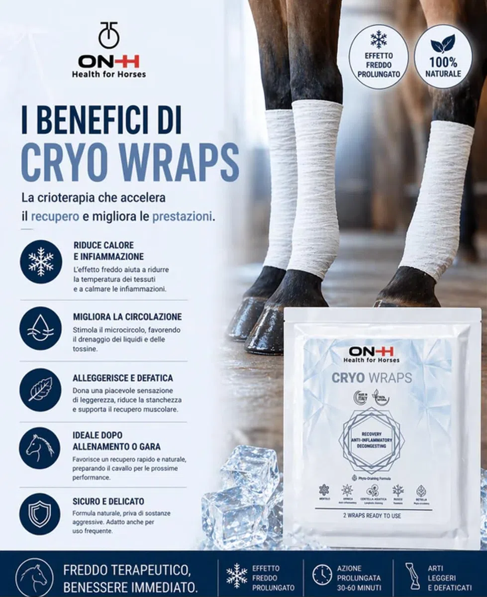 ON-H Cryo Wraps Bendaggi Rinfrescanti per Cavalli – Azione Decongestionante e Defaticante Arti – con Arnica, Centella Asiatica, Rusco e Betulla – 2 Bendaggi Ready to Use Made in Italy