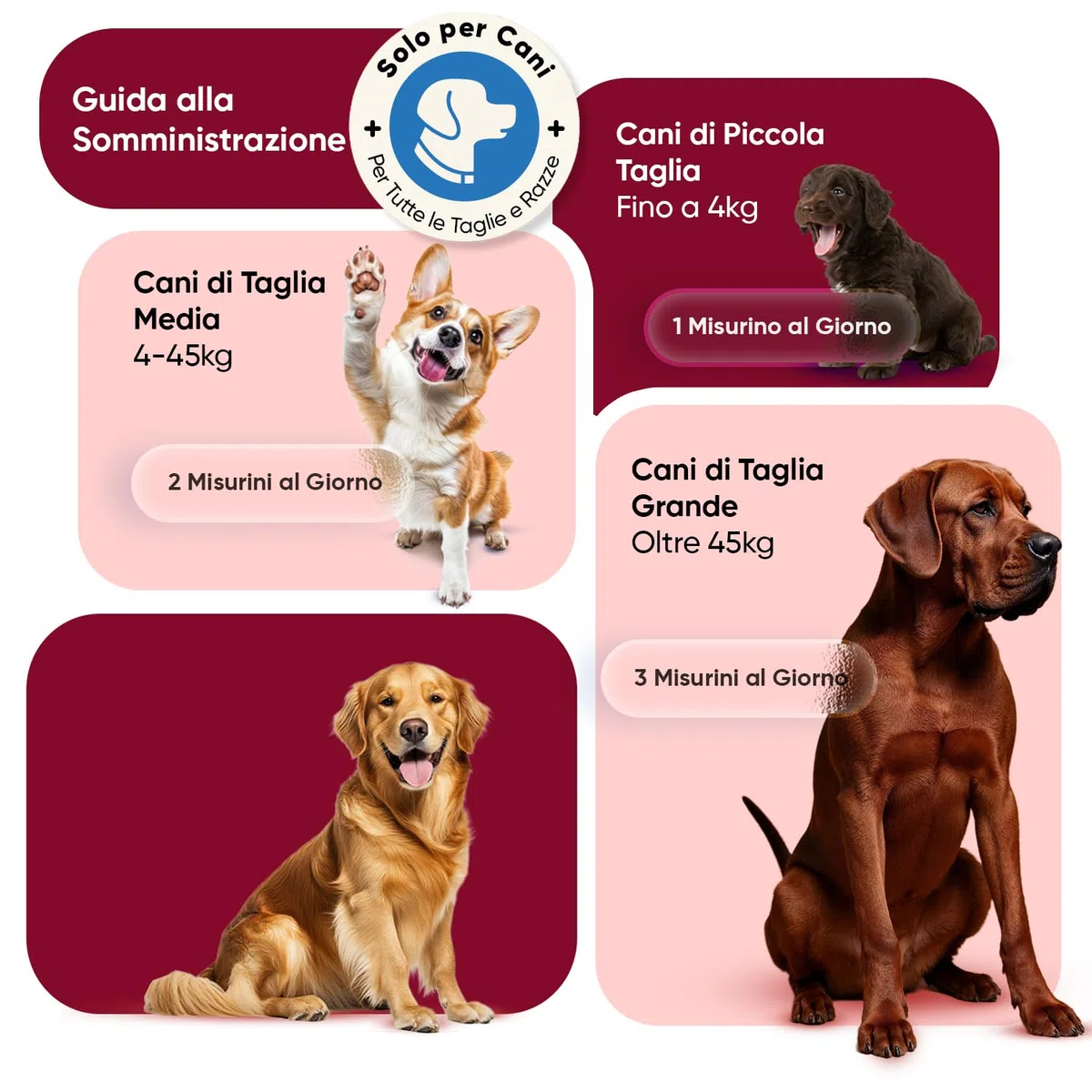 Antiparassitario Cani in Polvere (100g), Formula 100% Naturale, per Immunità ed Equilibrio Digestivo, Antipulci per Cani con Fieno Greco, Zenzero, Vitamine, Minerali e Aminoacidi, all'Aroma di Pollo