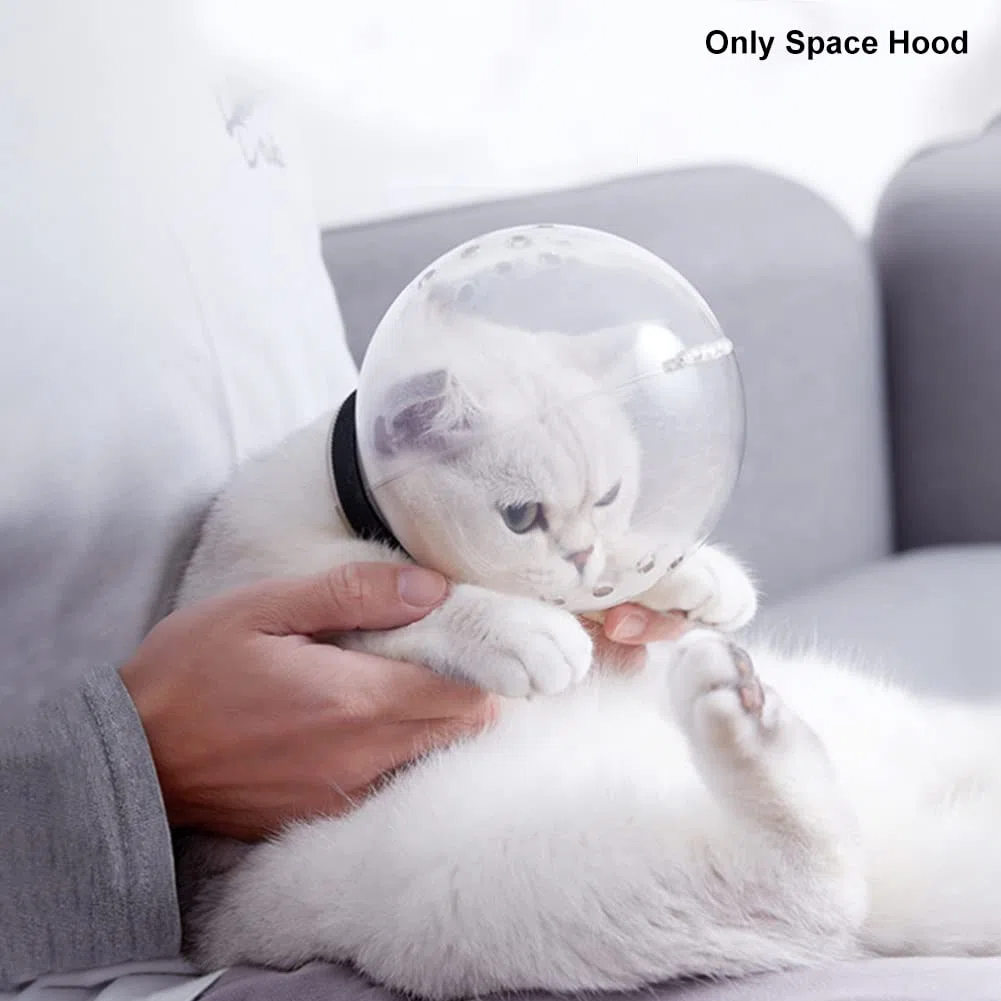 Faderr Casco per gatti con cappuccio trasparente anti-morso, traspirante e multifunzione, per il bagno, la toelettatura o il taglio delle unghie (trasparente)