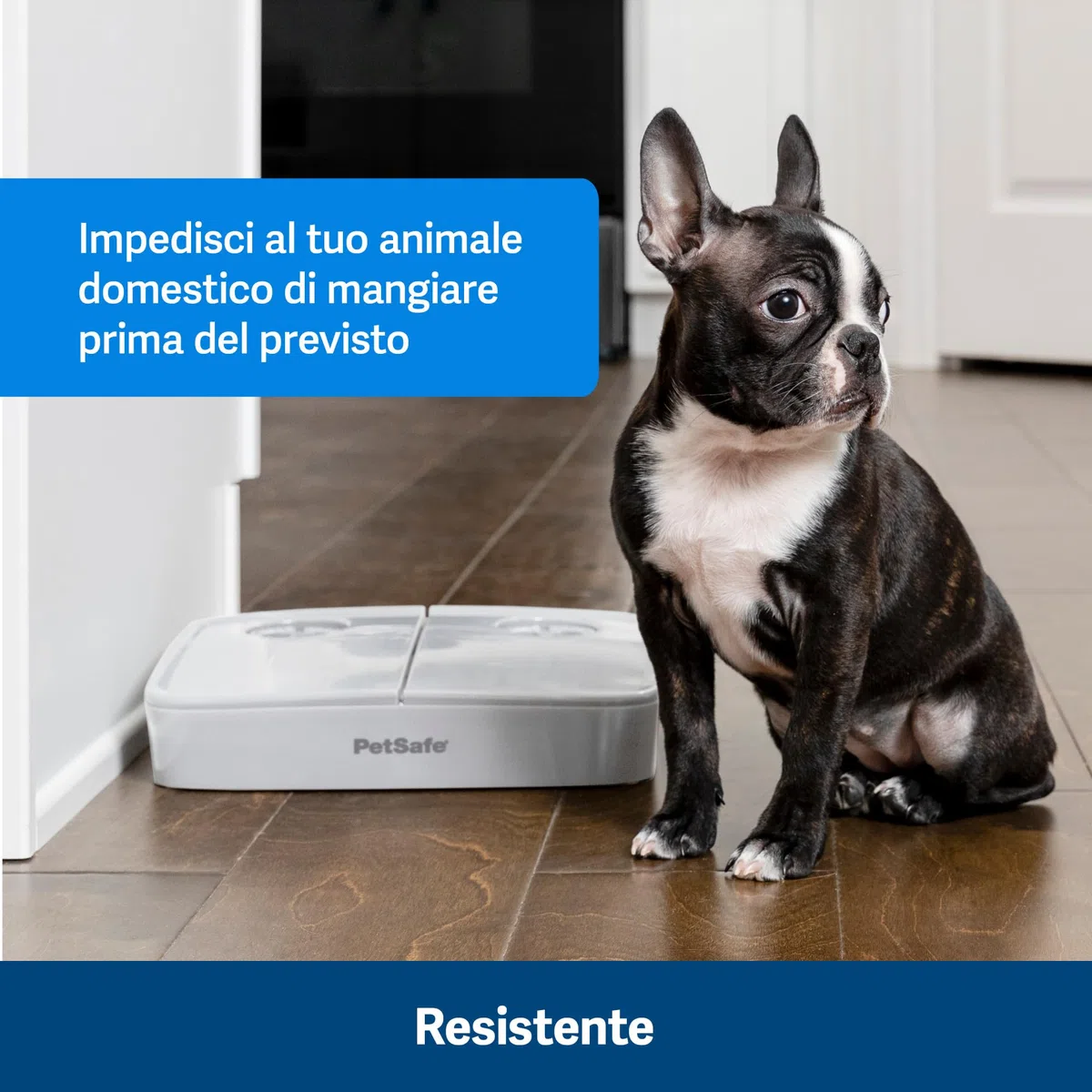 PetSafe Distributore automatico di cibo 2 pasti, design antimanomissione, contiene cibo secco per cani e gatti