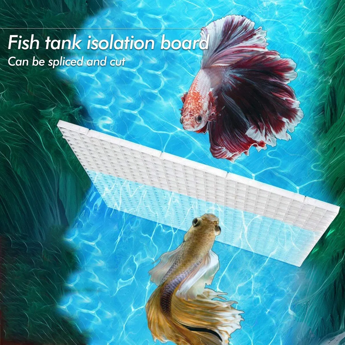 Nother xianzhanEU - 8 divisori per acquario, in plastica per acquario, con 16 ventose, colore: Bianco