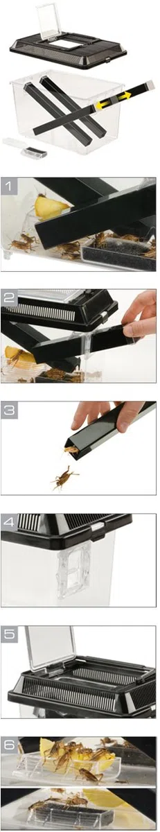 Exo Terra PT2287 Cricket Box con 3 Tubi + 2 Spugne