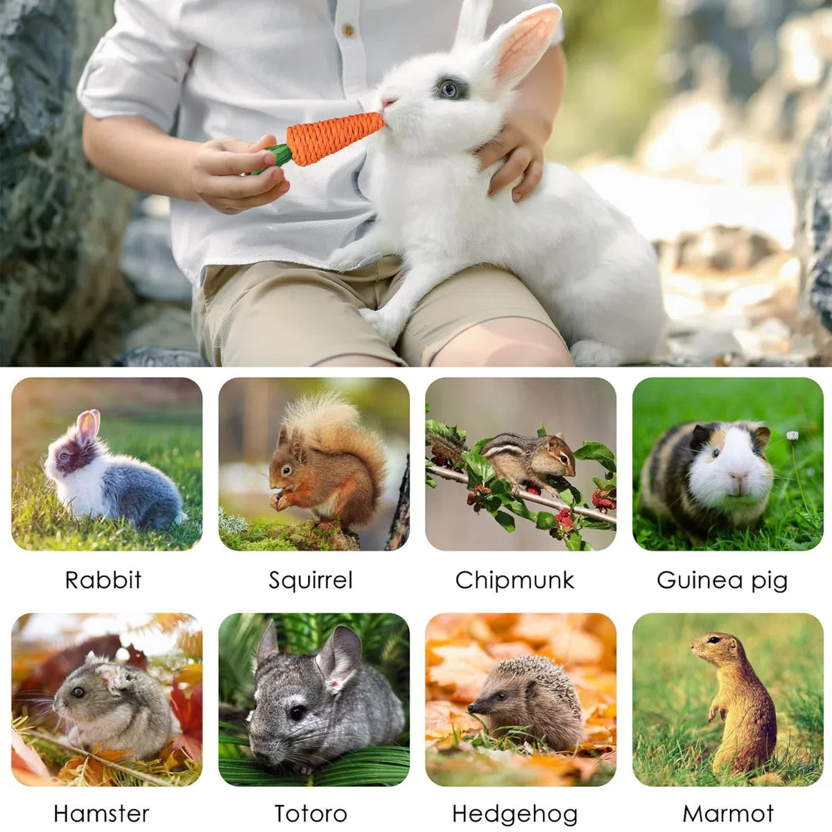 14 Stili Giochi da Masticare per Conigli, Naturali Giocattolo per Conigli Nani, Giochi Criceto,Accessori per Piccoli Animali Cura Dentale per Coniglietti Criceti Cincillà Gerbilli, Fatto a Mano