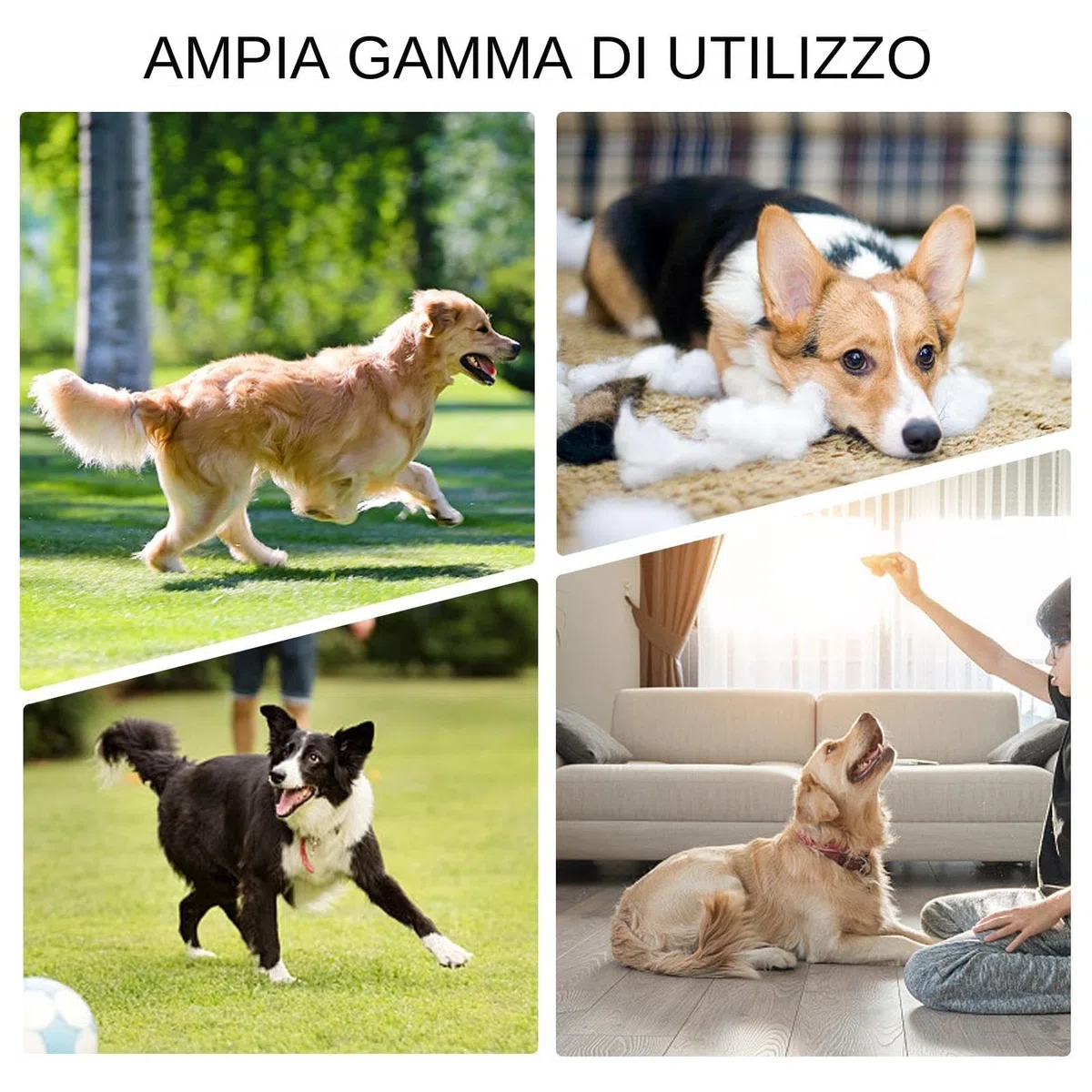 Generico Paraurti per cani per il recupero 'acqua, giocattolo per paraurti d' - Giocattolo per addestramento all'aperto per cani Retriever | per addestramento del cane, giocattolo a forma di an