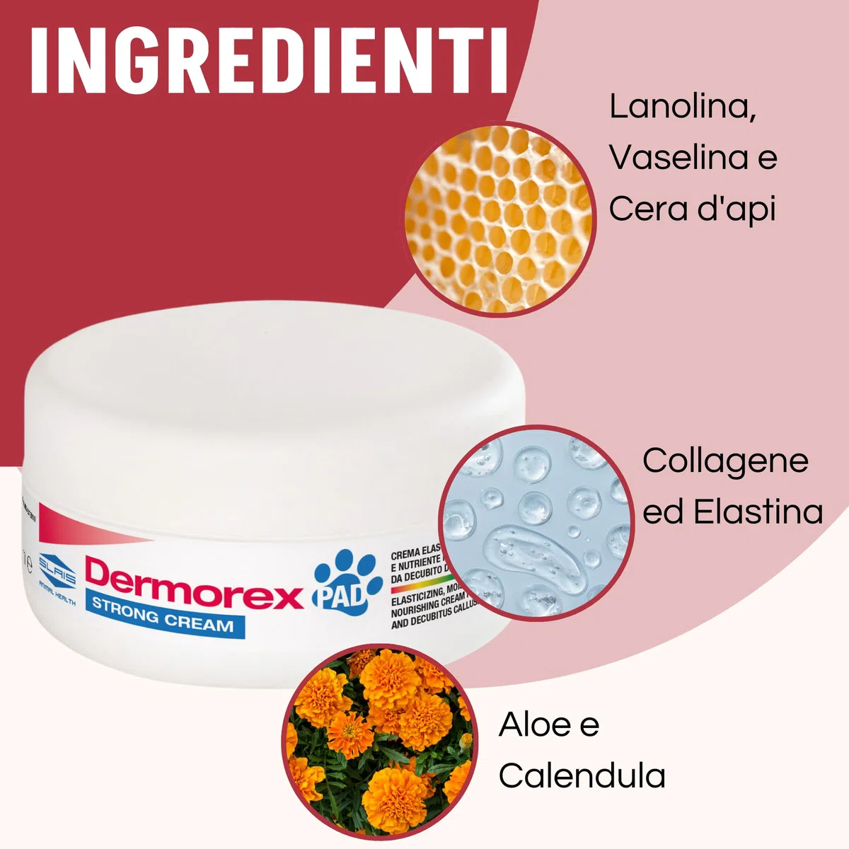 Dermorex Pad Strong Cream - Crema per Polpastrelli Cani - Nutriente ed Elasticizzante - 100 ml con Spugnetta - Con Lanolina, Vaselina e Cera d'Api - Per Calli da Decubito