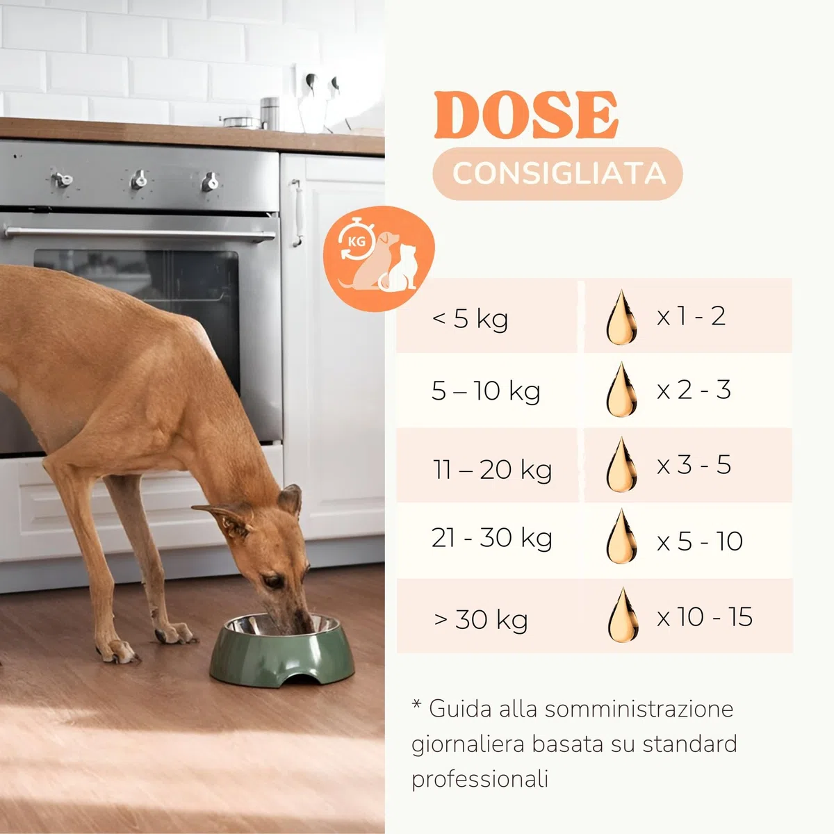 Olio di Salmone per Cani e Gatti per Articolazioni Forti e Pelle Sana, Olio Salmone per Cani Arricchito con EPA, DHA, Omega 6 e Omega 3 Cane, Appetizzante per Cani Naturale e Norvegese