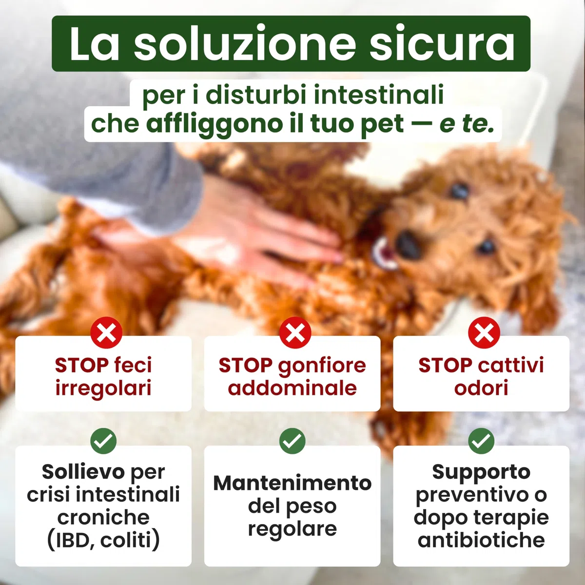 Trebifarma Fibrasol GG, Regolarità Intestinale di Cane e Gatto - Mangime Complementare in Polvere con Prebiotici Contro Diarrea, Colite e Stipsi - Facile da Somministrare – 100g
