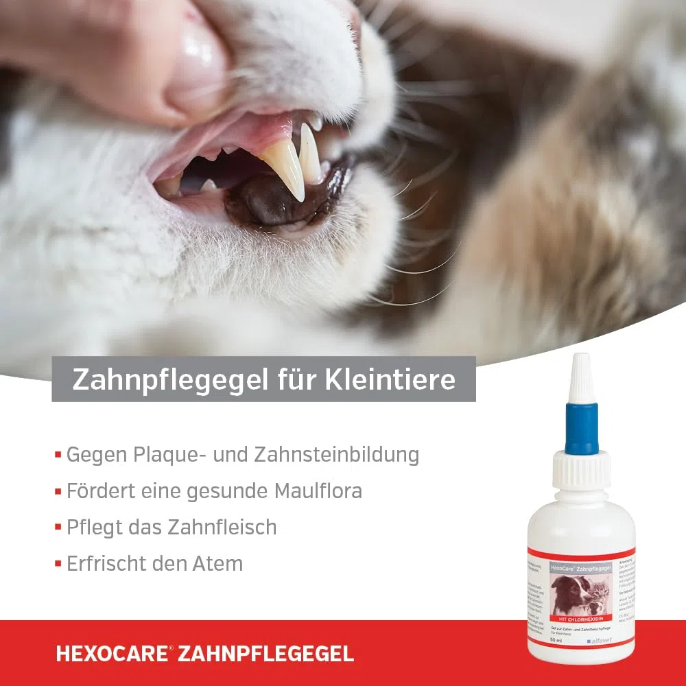 Alfavet HexoCare Gel per igiene orale (50 ml) – gel dentale per cani, gatti e piccoli animali – con clorexidina, Tris-EDTA ed erba gatta – cura quotidiana di denti e gengive