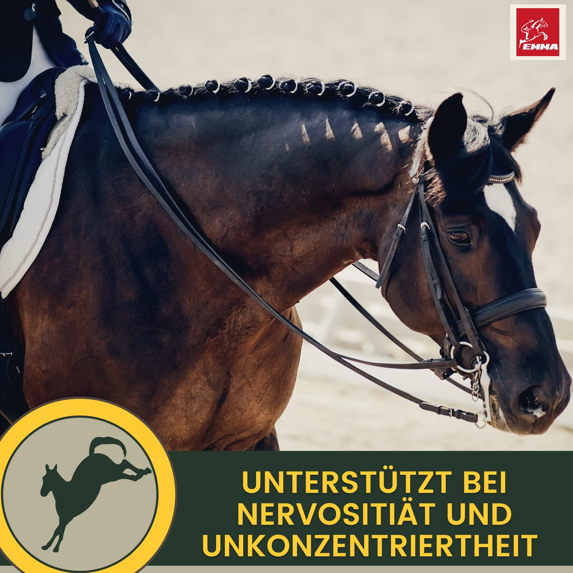 Magnesio Cavallo 3*30ml Pasta Calmante per Cavalli I Rilassamento Calma Booster I Anti-Stress Calmante Nervi I L-Triptofano I per Ansia Trasporto, Pasta di Magnesio Serenità Cavallo Nervoso Alta Dose