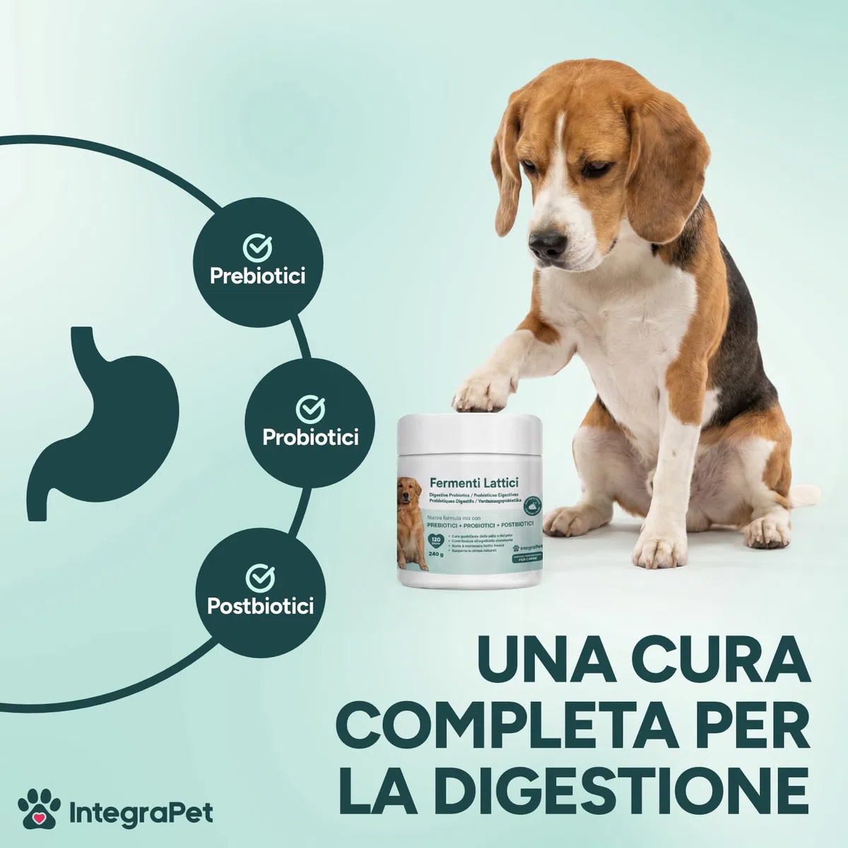 Probiotici Cane Prurito e Alito Cane – Probiotici e Prebiotici Digestivi Snack Naturali, 120 Masticabili Gusto Pollo, Prodotti per Cani per Benessere Intestinale e Pelle