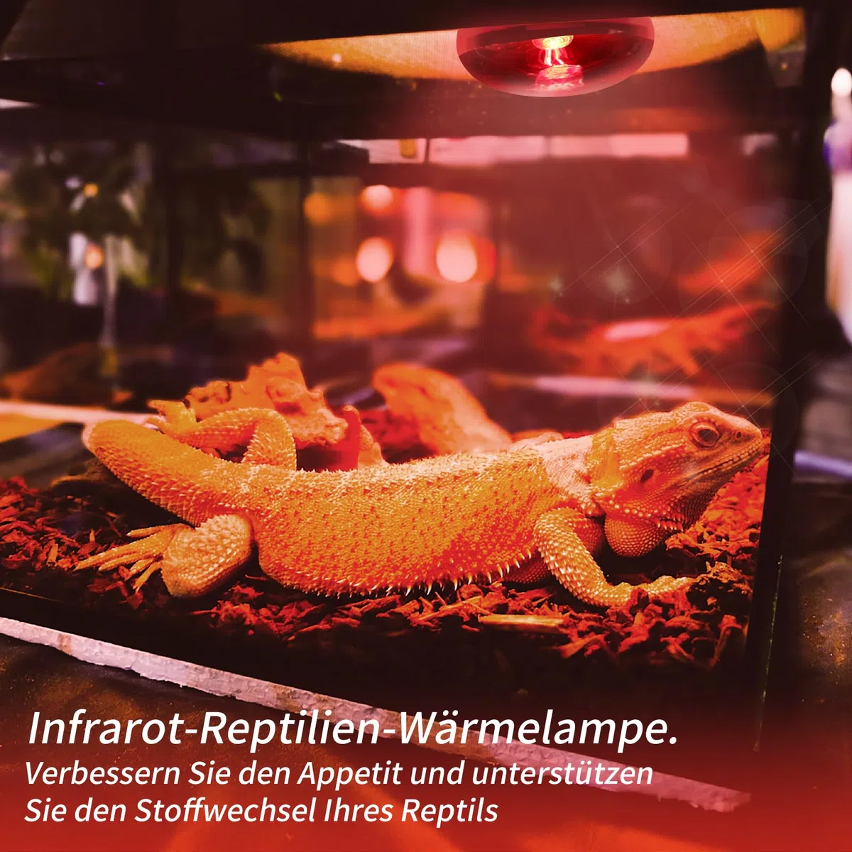 Lampade Termiche per Rettili a Infrarossi, 2 Pacchetti di Lampade Spot a Infrarossi da 100W, Emettitori di Calore Rosso per Tartarughe, Draghi Barbuti, Galline e Polli