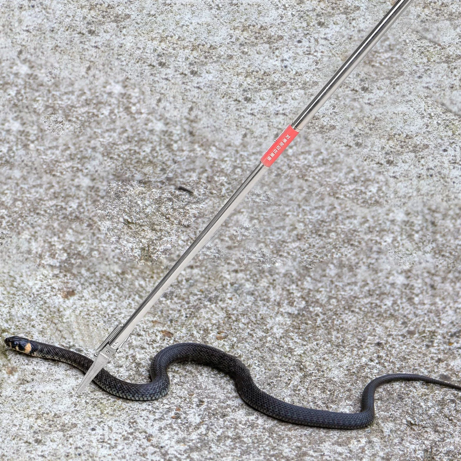 Pinza Acchiappa-Serpenti in Acciaio Inossidabile Pieghevole 48 Pollici Design Antiscivolo per Uso Domestico e Giardino Esterno