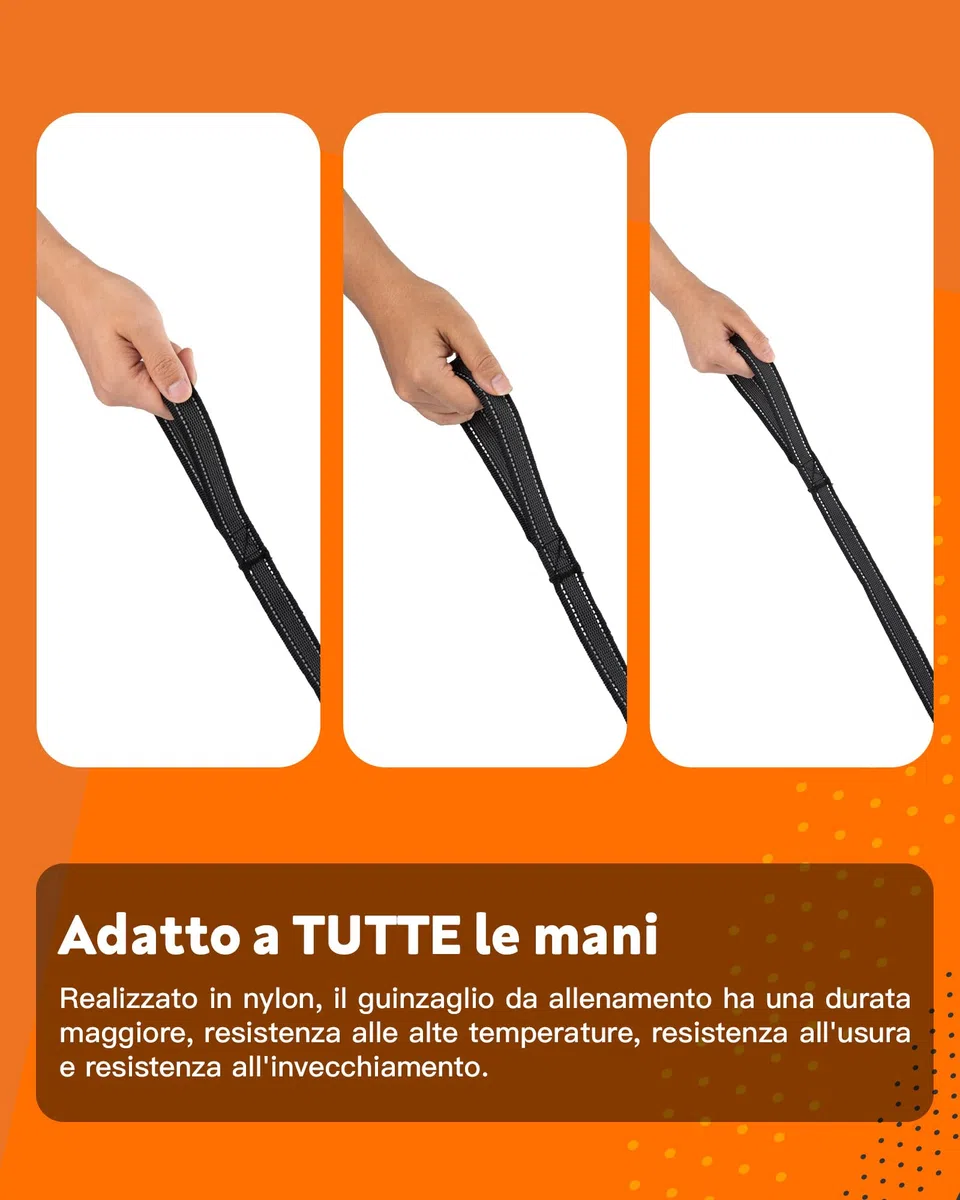 Toozey Lungo Guinzaglio per Cani Piccoli a Grandi e Medi con Gomma Antiscivolo e Strisce Riflettenti, 5m 10m 15m 20m Lunghina Cane Addestramento in Nylon Morbido e Resistente, 10m x 2,5cm