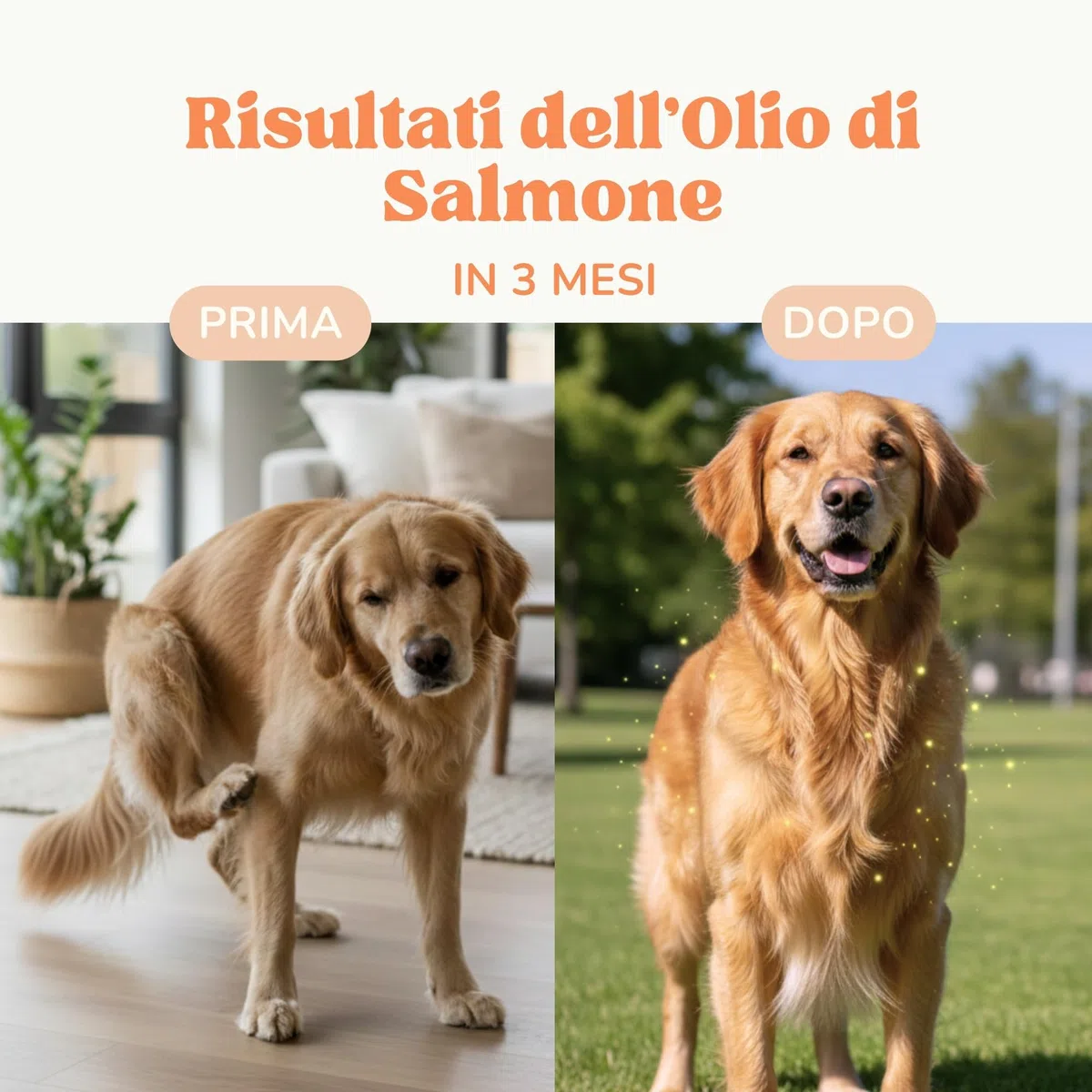 Olio di Salmone per Cani e Gatti per Articolazioni Forti e Pelle Sana, Olio Salmone per Cani Arricchito con EPA, DHA, Omega 6 e Omega 3 Cane, Appetizzante per Cani Naturale e Norvegese