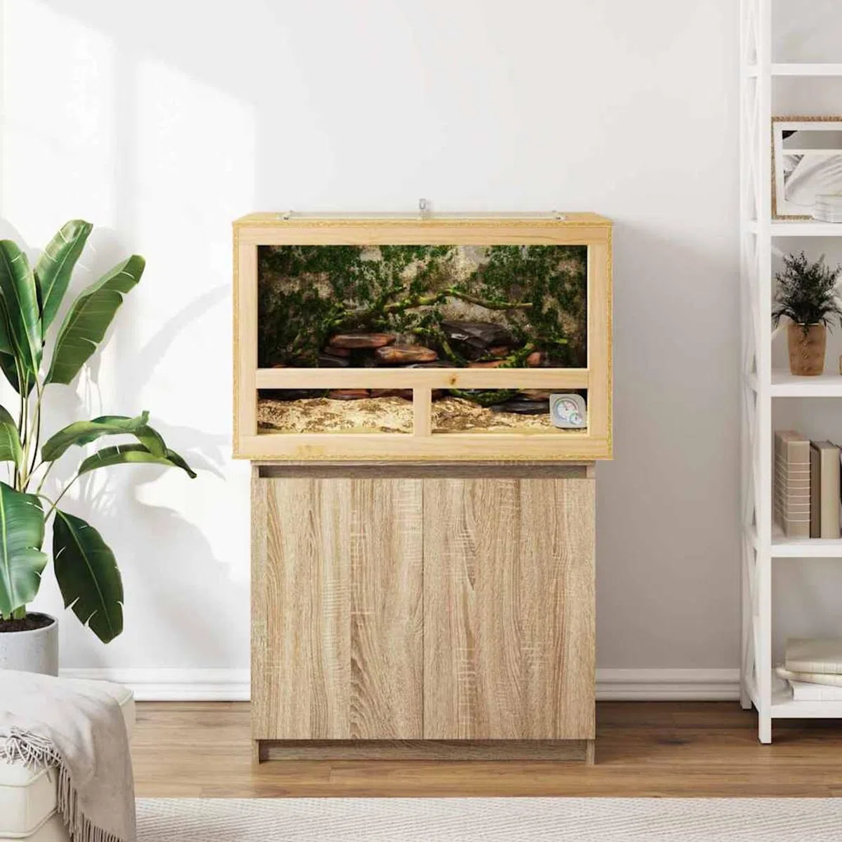 Terrario OSB Rustico per Rettili e Anfibi, 80x50x50 cm, con Termometro, Finitura Opaca Marrone, Spazioso e Durevole, per Uso Interno, Assemblaggio Richiesto