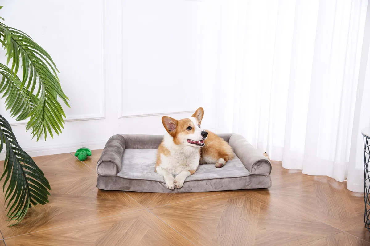 Amazon Basics Cuccia per cani e altri animali domestici, in stile divano, per salotto, in schiuma, sfoderabile, Taupe, 91 x 69 x 17 cm (L x W x H)