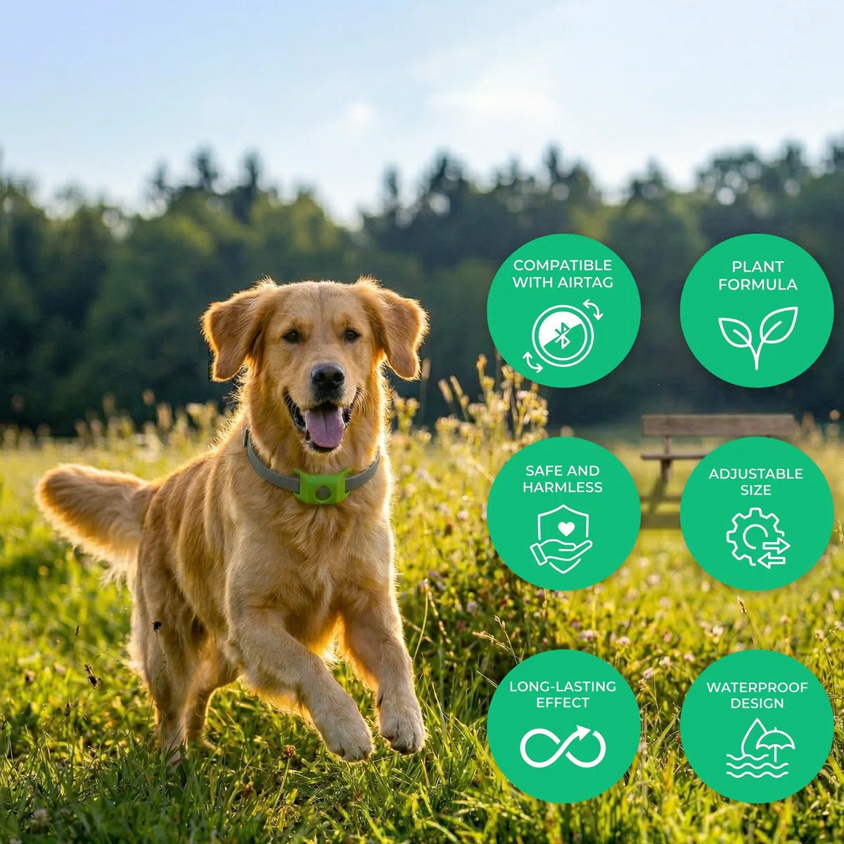 Collare Antipulci Cane,Collare Antipulci per Cani Impermeabile,Collare Antipulci e Zecche per Cani Naturale,Aquality Pets Collare Antiparassitario Natural, Ingredienti 100% Naturali