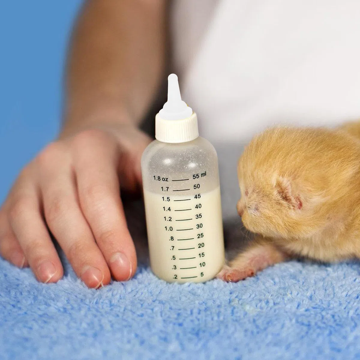 Set 50 Ciucci per Biberon in Silicone Morbido per Animali Domestici, Tettarelle Piccole Trasparenti per Gattini, Cuccioli e Conigli, Accessori per Alimentazione e Cure Ragazzo