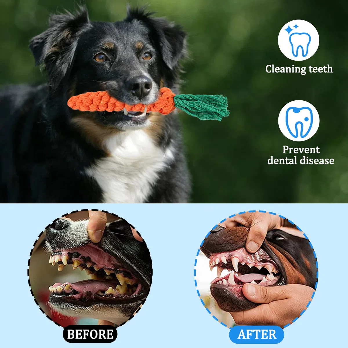 Giocattoli per cani,19 pezzi giocattolo cane corda,Corda di palla di cotone naturale per masticare denti di cucciolo, medi e piccoli giocattoli interattivi per cani