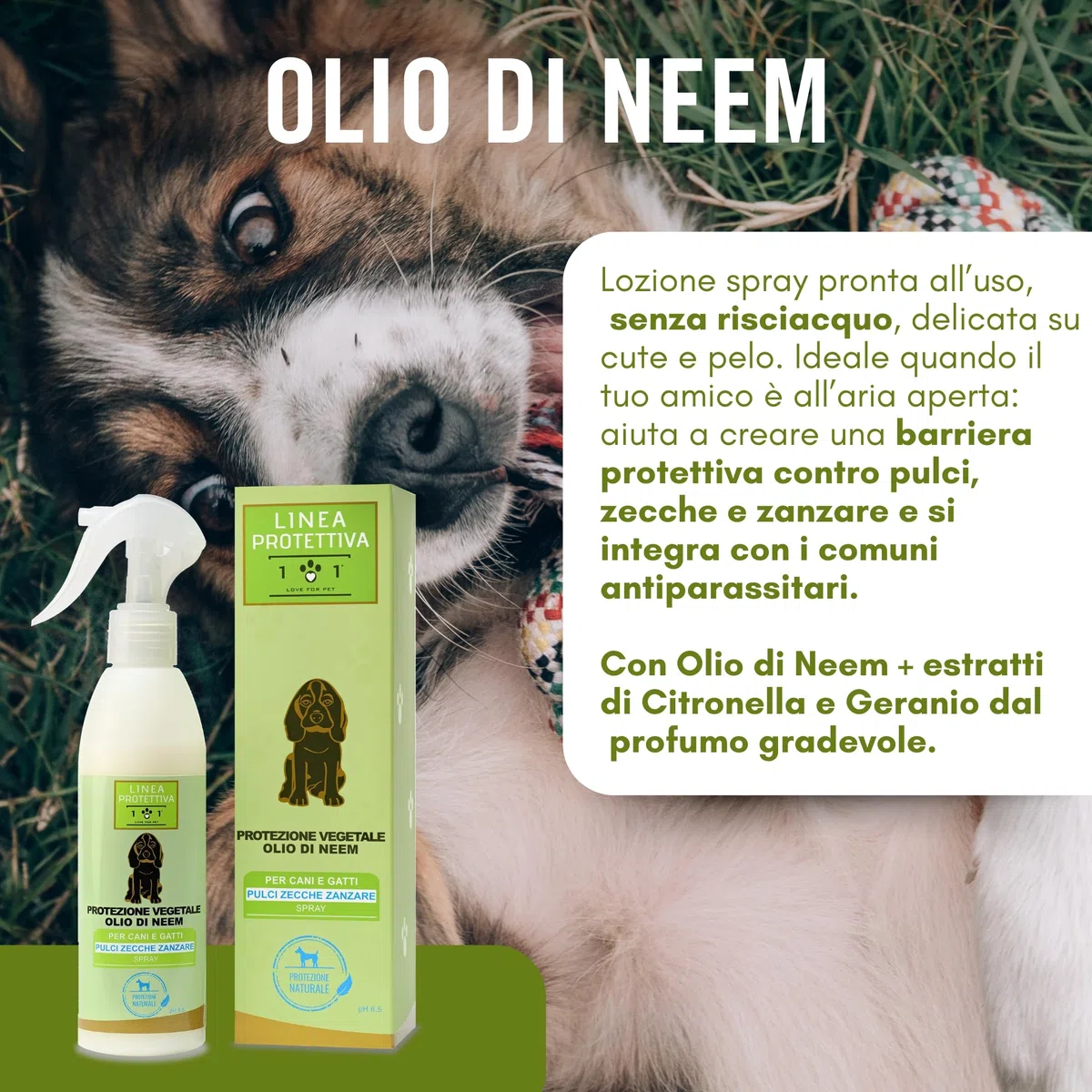 Olio Di Neem Per Cani e Gatti 250ml Protezione Vegetale Spray Antizanzare Cane, Repellente Zecche Cane, Antiparassitario Naturale Per Cani, Antipulci per Gatti, Antiparassitario per Gatti