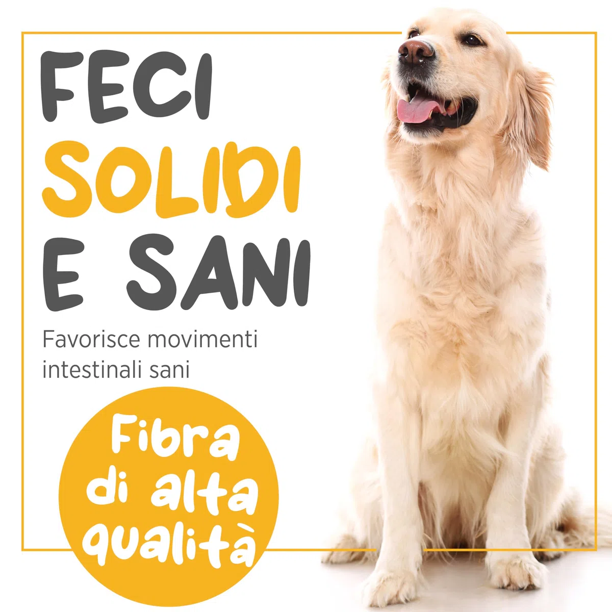 maxxipaws maxxiscoot Ghiandole Perianali e Apparato Digerente - Integratore per Cani, 140g