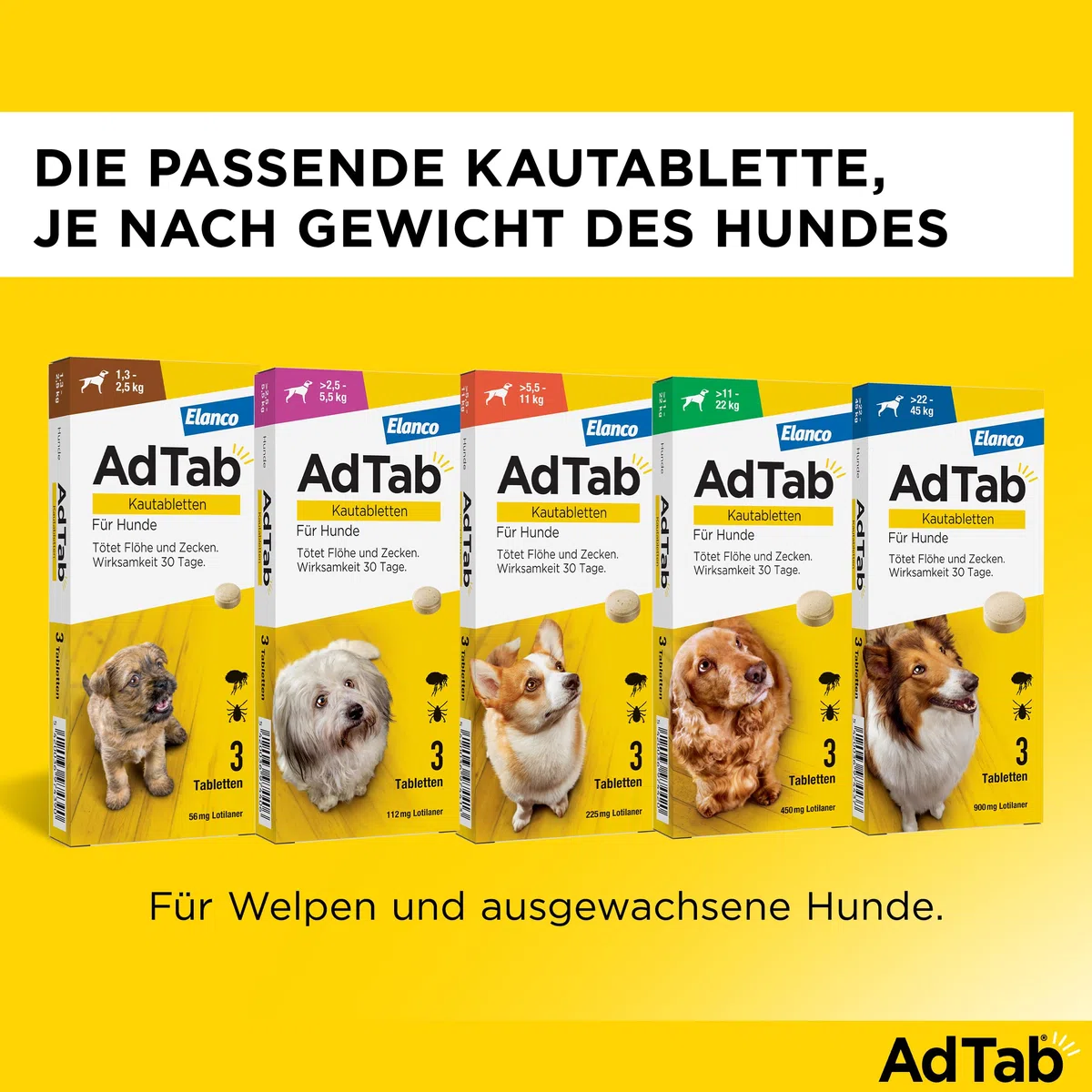 AdTab Compresse masticabili per cani di taglia media da 5,5 a 11 kg contro pulci e zecche