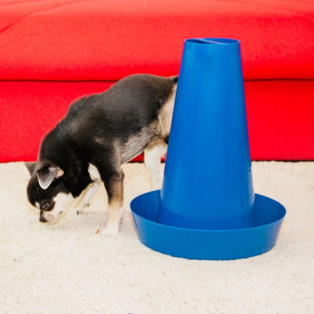 PIPPI Cono Cani WC Cane Vasino Toilette Lettiera Dog Traversine Dogs Tappetini Colonna Orinatoio Pisciatoio Maschi Accessori Nuova Generazione LILLA