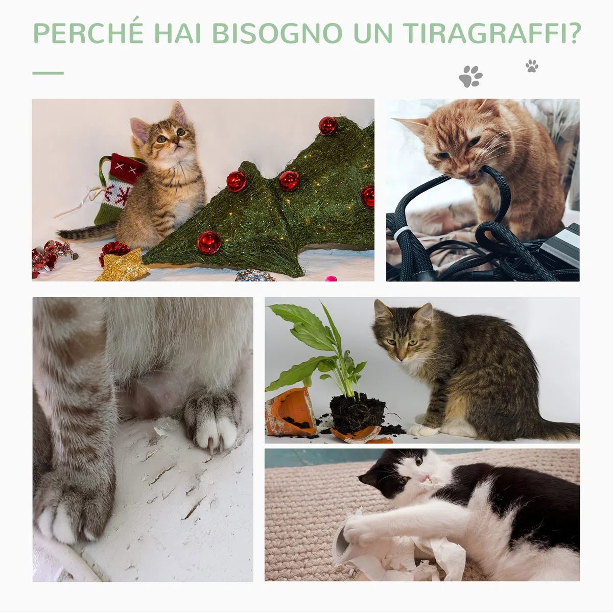 PawHut Albero Tiragraffi per Gatti Adulti e Gattini a Forma di Cactus, Corda Sisal e Base in Legno, 40x40x65 cm, Verde
