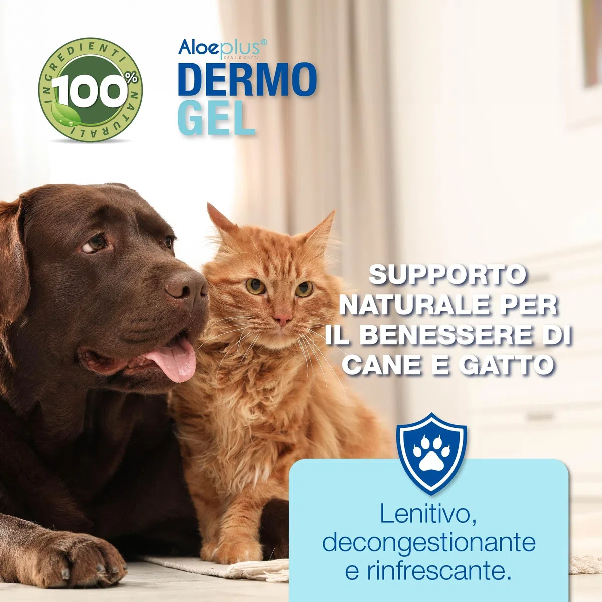 Aloeplus Dermo Gel 200 ml. per Cani e Gatti - Lenitivo e decongestionante con Aloe arborescens Italiana. - Ideale per dermatiti, arrossamenti, prurito, punture di Insetti
