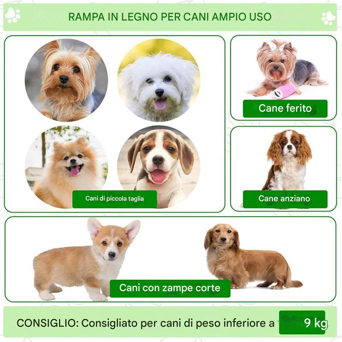 Rampa Per Cani Per Divano | Scalini Per Animali Domestici,Gradini Sicuri Portatili Per Animali Domestici Anziani E Feriti Gatti Per Interni Casa Divano Sofà Letto Soggiorno Camera Da