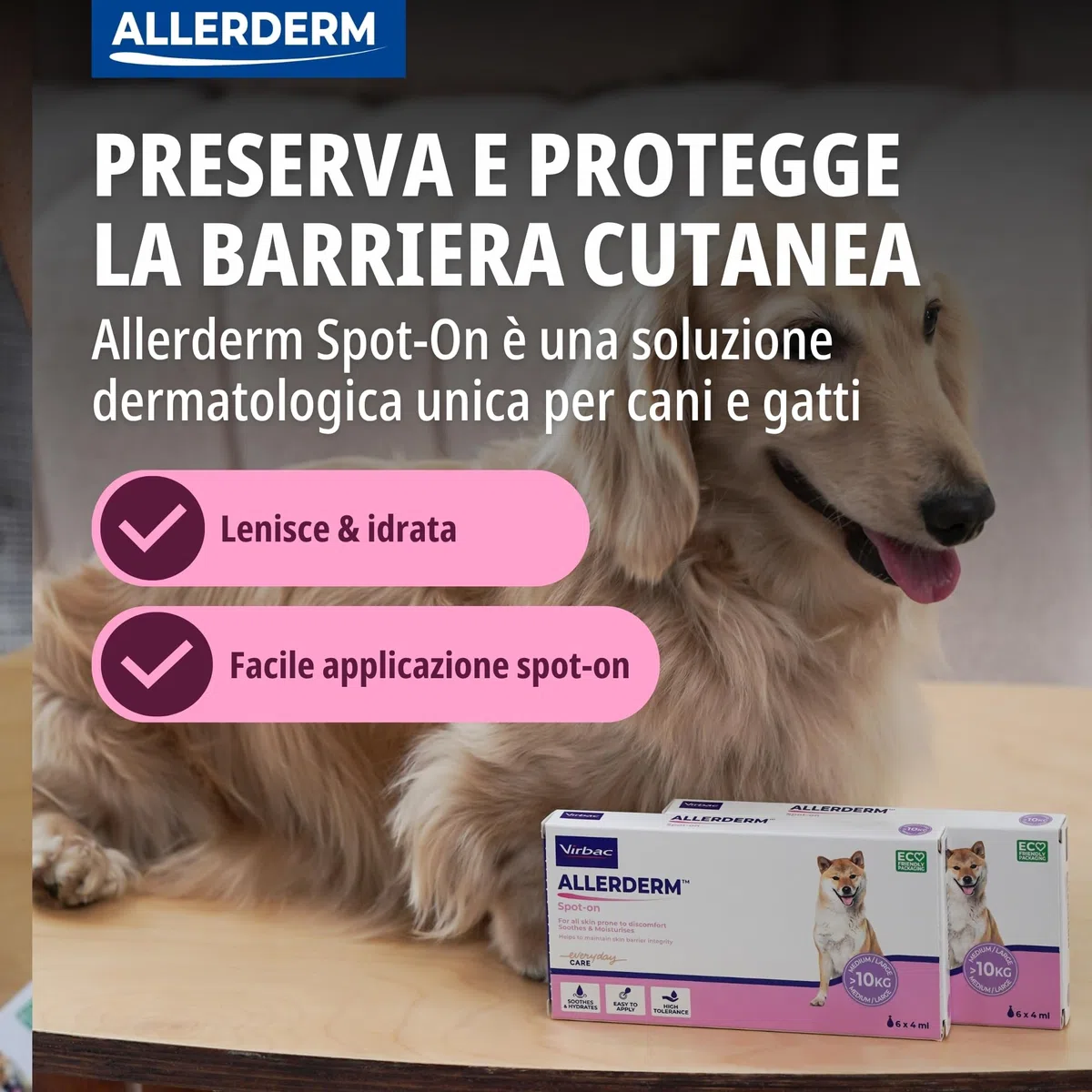 ALLERDERM Spot On (verde ¶ÃŸe : 6x 4 ml), un articolo