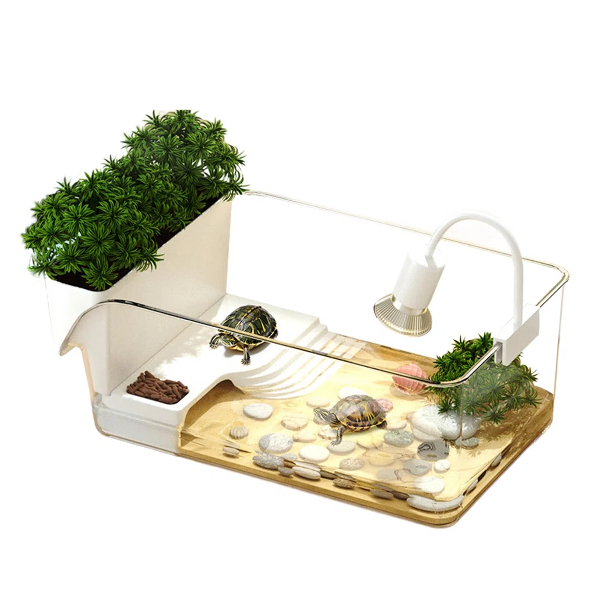 Acquario per Tartarughe | Riposo per Tartarughe,Acquario Per Tartarughe Per Scuole Casa Rifugi Animali Educatori Natura