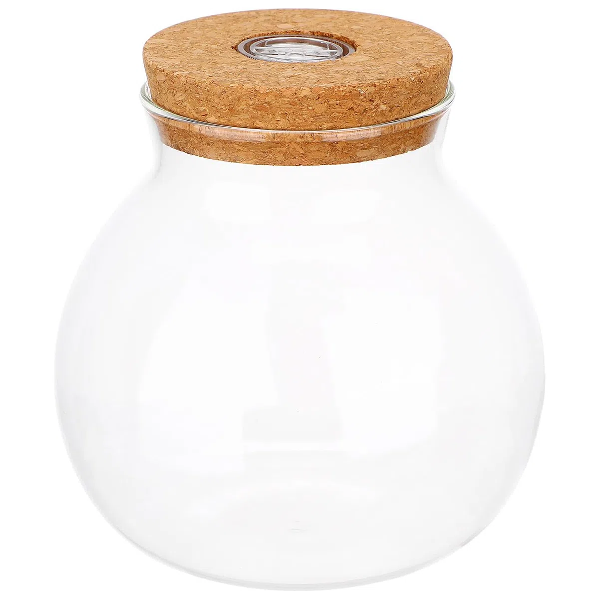 UKCOCO Bottiglia di vetro per paesaggio con coperchio, decorazione per matrimonio, in vetro borosilicato, ecologica, per terrari, fai da te, con micro paesaggio