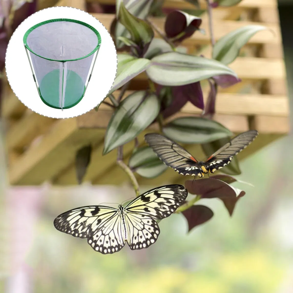 Gabbia di Allevamento per Farfalle Cilindrica Φ30×60 Cm in Rete Trasparente Cerniera Apribile, Habitat Portatile per Osservazione e Incubatrice per Insetti, Adatta per Spazi