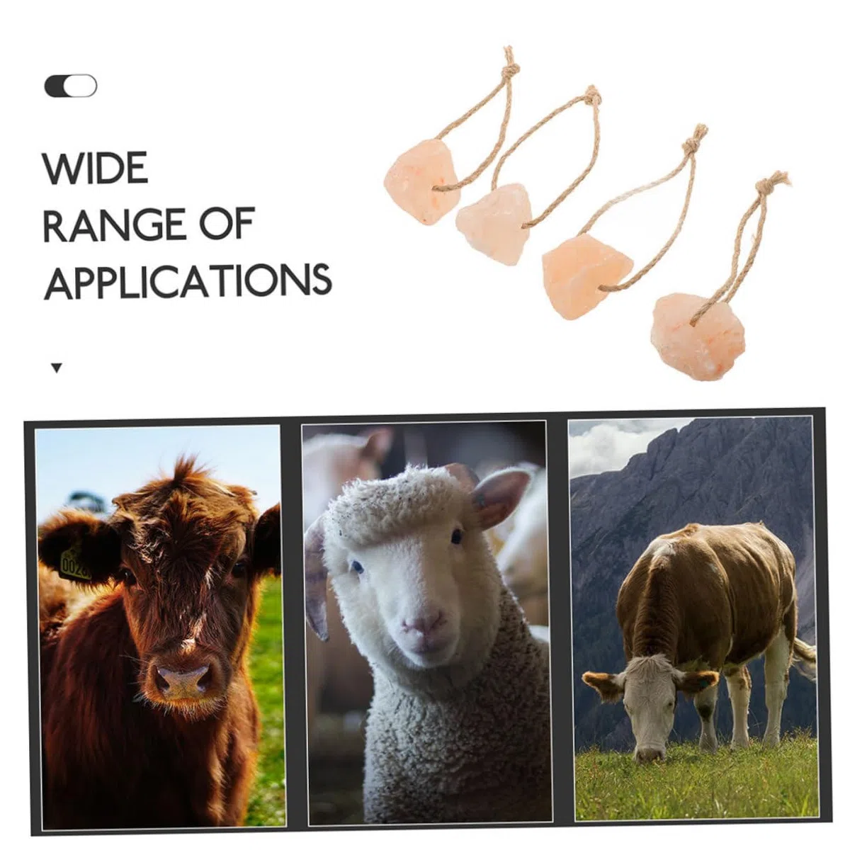 Happyyami 6pezzi Blocchi di Minerale Rosa Himalayano per Animali da Blocco da Leccare Naturale Ricco di Minerali per Cavalli Bovini Ungulati e Bestiame Supporto Immunitario e Benessere Lives