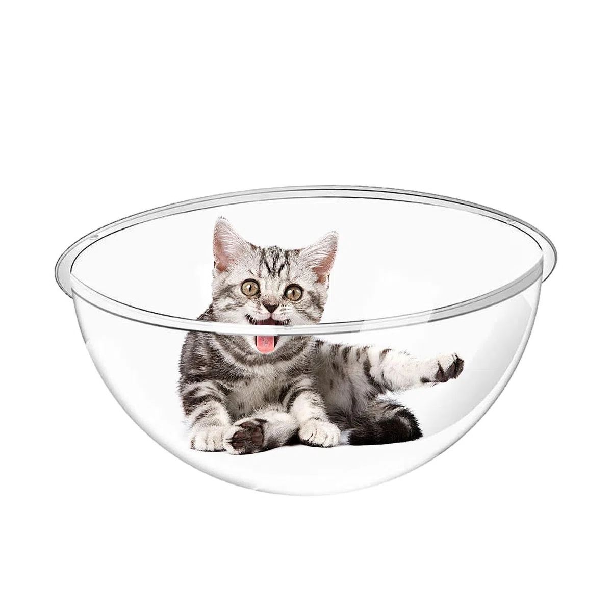 Maciun Letto Spaziale per Gatti in Acrilico Trasparente con Bordo Arrotondato e Cappuccio per Gatti di Qualsiasi Razza