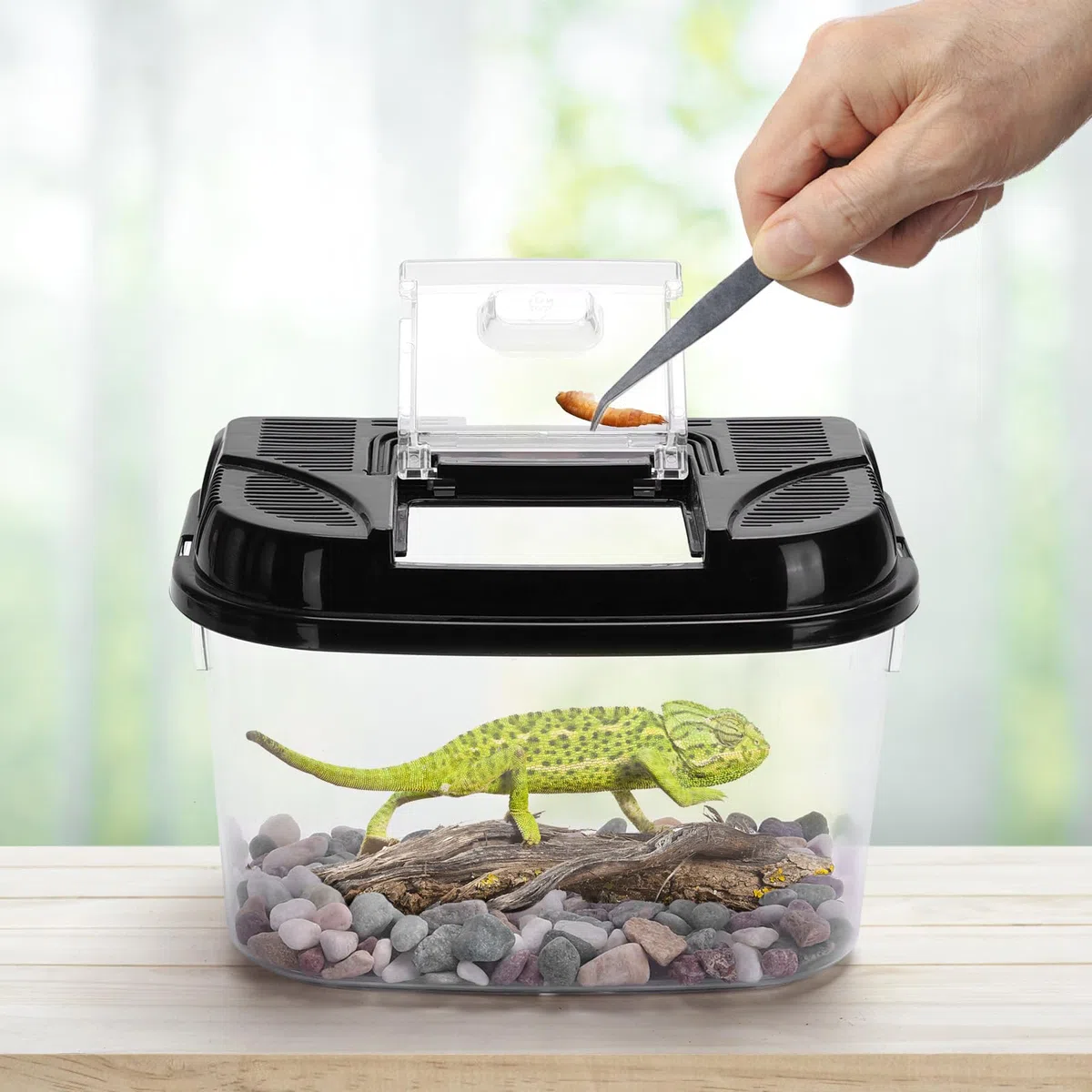 Nobleza Terrario di Plastica per Rettili,Adatto per Tartarughe Geco Lucertola Serpente Ragno,Scatola di Trasparente con Coperchio,Ventilata e Maniglia,Taglia L: L28*W18*H18cm