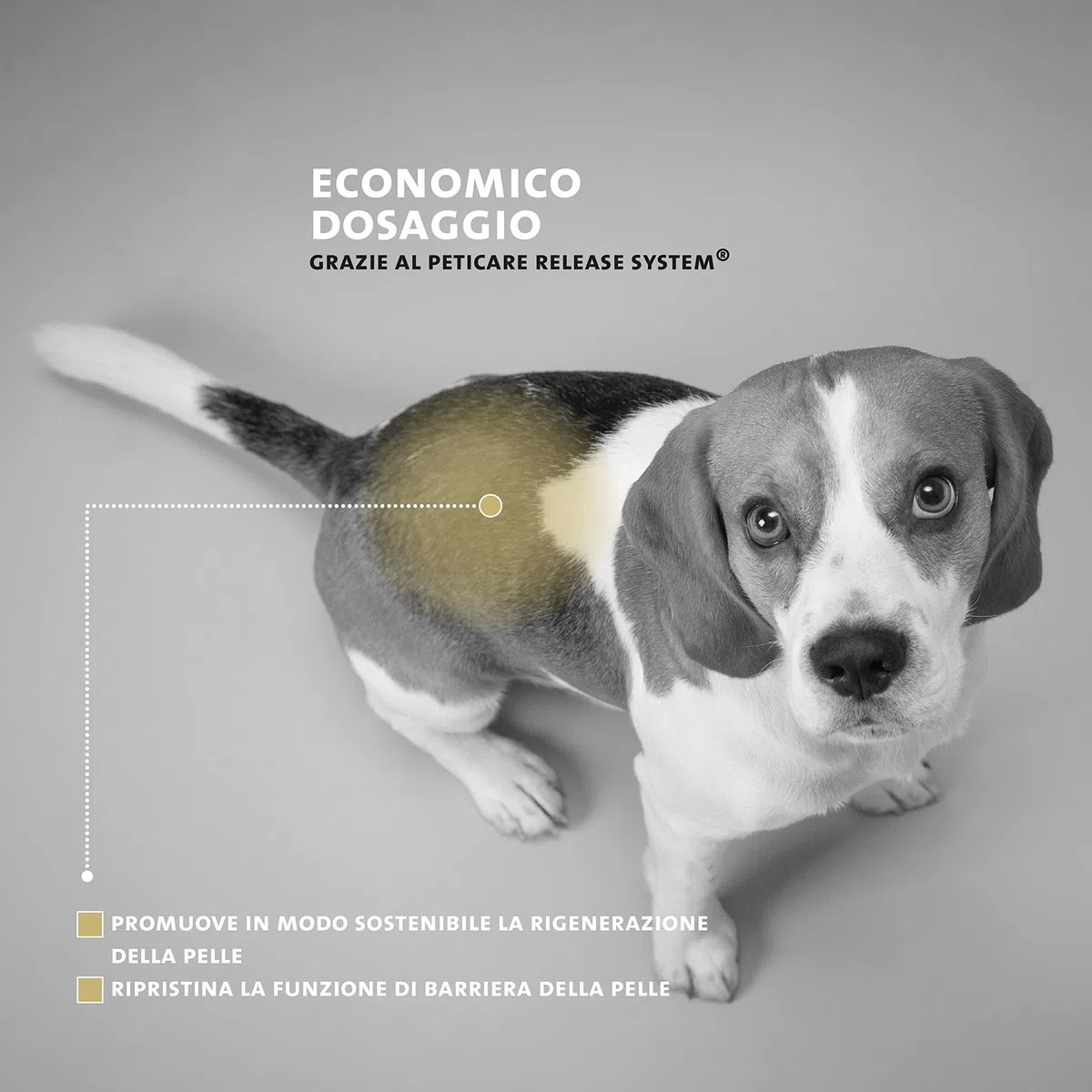 Peticare Balsamo Hot-Spot ed Eczemi Cani – Cura Delicata per Dermatiti Essudanti e Prurito – con Lanolina e Argento Colloidale – Pomata Lenitiva
